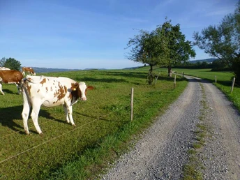 Unterwegs auf der Herzschlaufe Seetal #599.