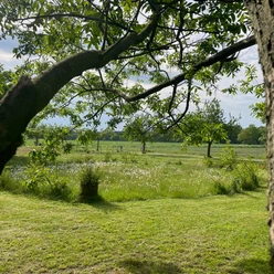 Essgarten Mähfreie Zone.jpg
