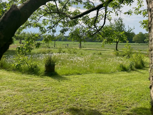 Essgarten Mähfreie Zone.jpg