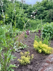 Kräuterhochbeet im Essgarten
