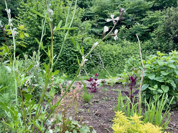 Kräuterhochbeet im Essgarten