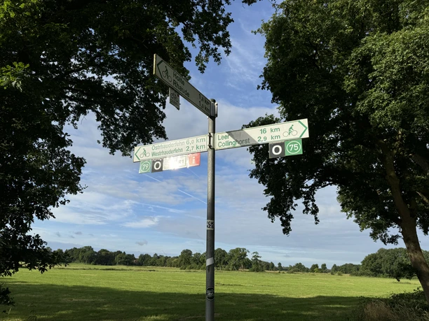 Ausschilderung Ostfriesland-Wanderweg, Gemeinde Rhauderfehn Wegweiser für Radfahrer mit Entfernungen zu Ostfrieslan-Wanderweg, Westweisung nach Leer und Colling vor einer grünen Wiesenlandschaft unter blauem Himmel.