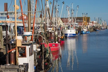 Der Alte Fischereihafen