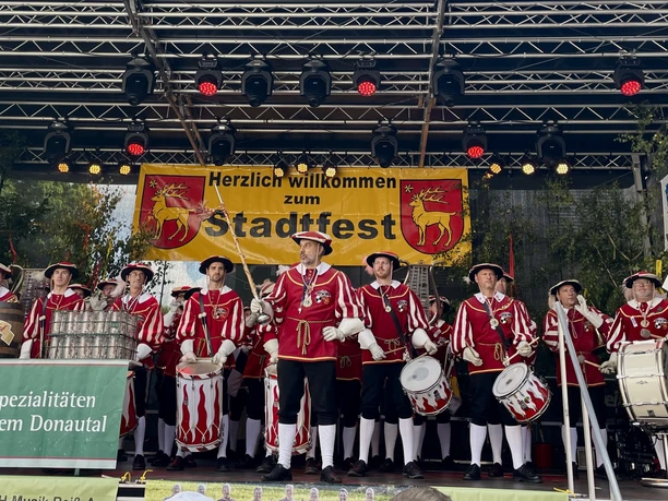 Spielmanns und Fanfarenzug Narrenzunft Vetter Guser