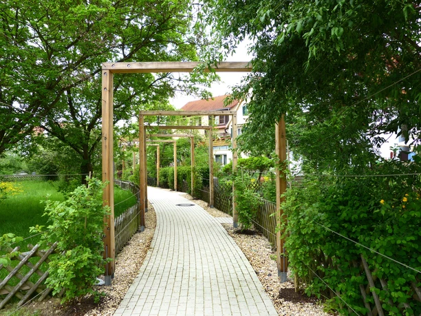 Rosenweg Foto Aipperspach