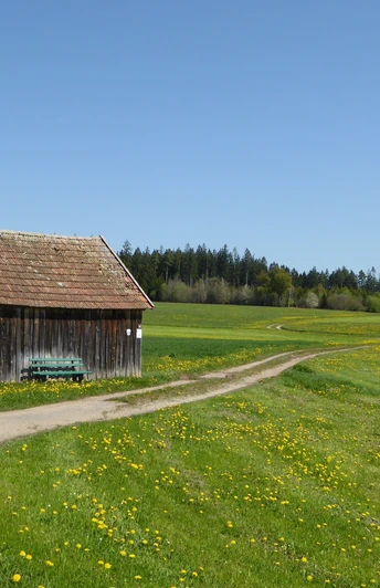 Beim Grillplatz in Obermusbach