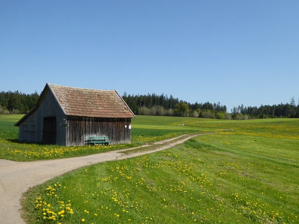 Beim Grillplatz in Obermusbach