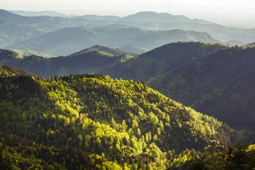 Blick über die Berge im Nationalpark Schwarzwald