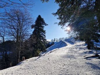 20250119_101652.jpg Wanderung Ahorn