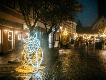 Weihnachtsdorf in EInbeck mit Beleuchtung Beleuchtete Eule und Weihnachtsbeleuchtung auf dem Einbecker Marktplatz.Illuminated owl and Christmas lights on Einbeck's market square.Oplyst ugle og julelys på Einbecks markedsplads.Verlichte uil en kerstverlichting op het marktplein van Einbeck.