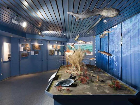 NatUrzeitmuseum-Wasserwelten