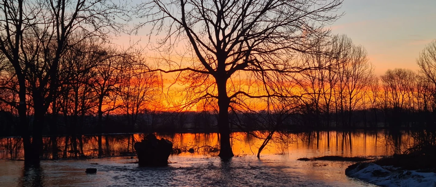 Elstertrebnitz - Gemeinde in Sachsen
