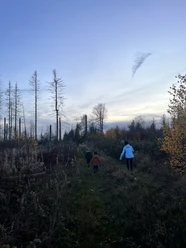 Kinder im Wald Dämmerung
