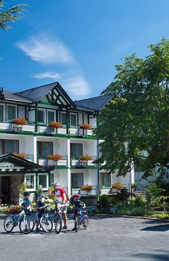 Edelweiss Willingen Hausansicht.jpg