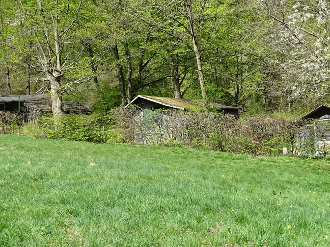 Hüttensiedlung Hühnerbergwiese