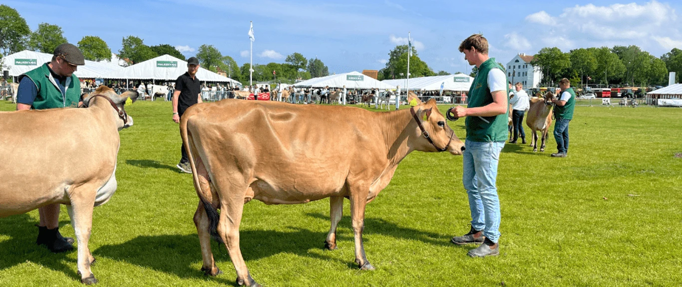 Sønderjysk Fællesdyrskue Aabenraa - Kreditér VisitAabenraa - GDK - komprimeret