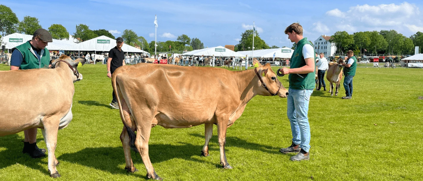 Sønderjysk Fællesdyrskue Aabenraa - Kreditér VisitAabenraa - GDK - komprimeret