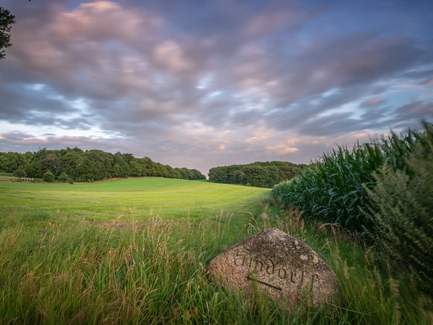 Blick auf den Weyerberg Sonnenuntergang mit lila rosa gefärbten Himmel und Wolkenspiel am Weyerberg im Worpswede