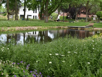 Ein kleiner, ruhiger Teich mit wilder Vegetation und einem Holzsteg, umgeben von Bäumen und Wiesen.