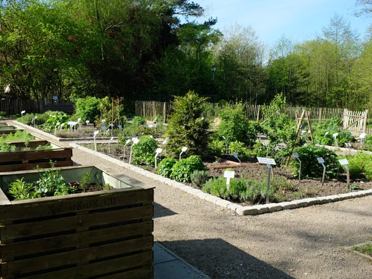 Kräuterbeete im Heilkräutergarten Kräuterbeete im Heilkräutergarten