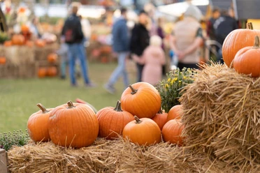 Herbstmarkt.jpg