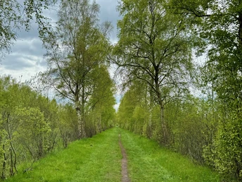 Wanderweg W4 - Neuklosterwanderweg Wanderweg W4 - Neuklosterwanderweg
