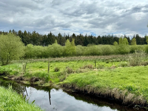Wanderweg W4 - Neuklosterwanderweg Wanderweg W4 - Neuklosterwanderweg