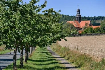 Hildesheim-Neuhof: Baum-Allee zum Kloster Marienrode. Kloster Marienrode