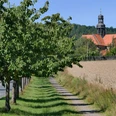 Hildesheim-Neuhof: Baum-Allee zum Kloster Marienrode. Kloster Marienrode