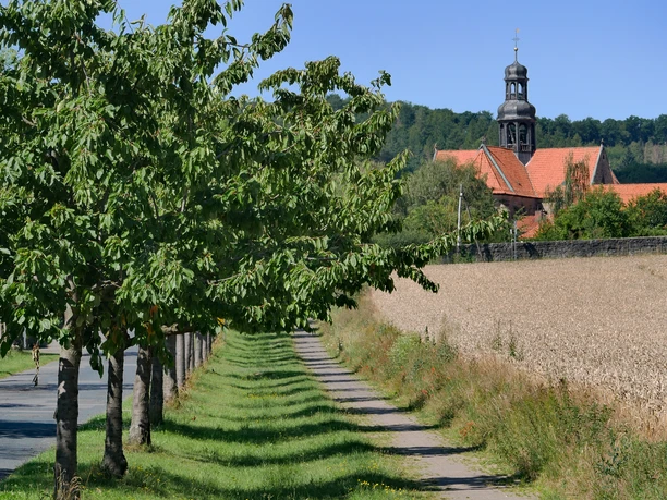 Hildesheim-Neuhof: Baum-Allee zum Kloster Marienrode. Kloster Marienrode