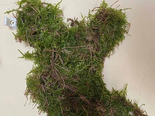 Mooshase_Foto Sina Kruse.jpg