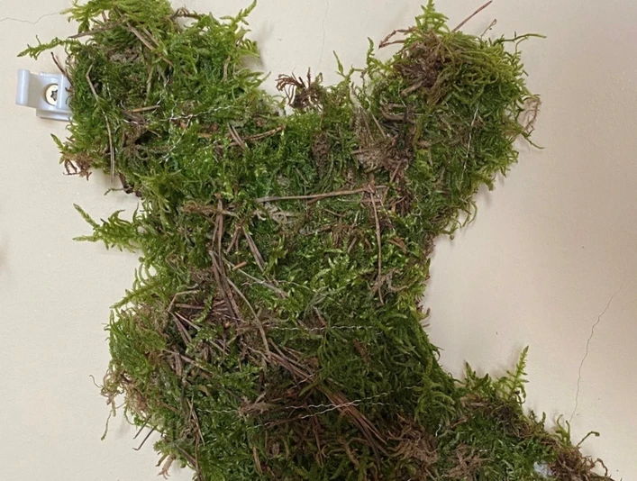 Mooshase_Foto Sina Kruse.jpg