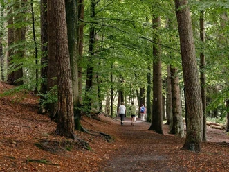 Umgebung_1