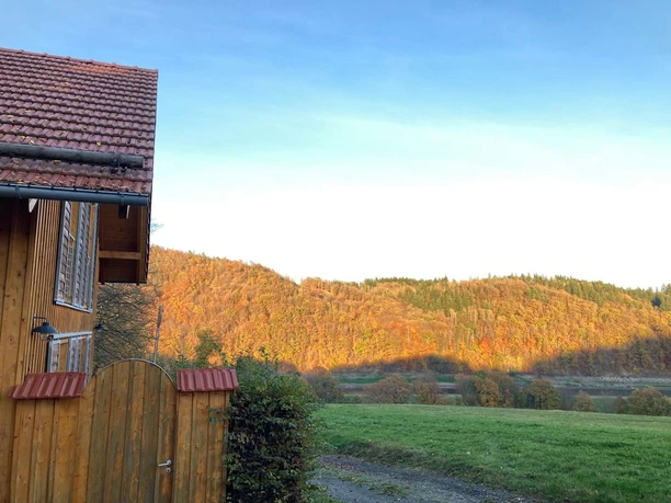Ferienhaus SeeRuhe