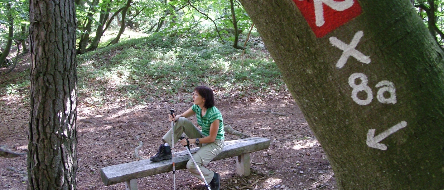 Unterwegs auf dem Kellerwaldsteig bei Bad Zwesten
