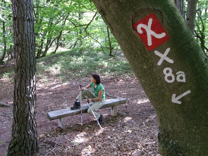 Unterwegs auf dem Kellerwaldsteig bei Bad Zwesten