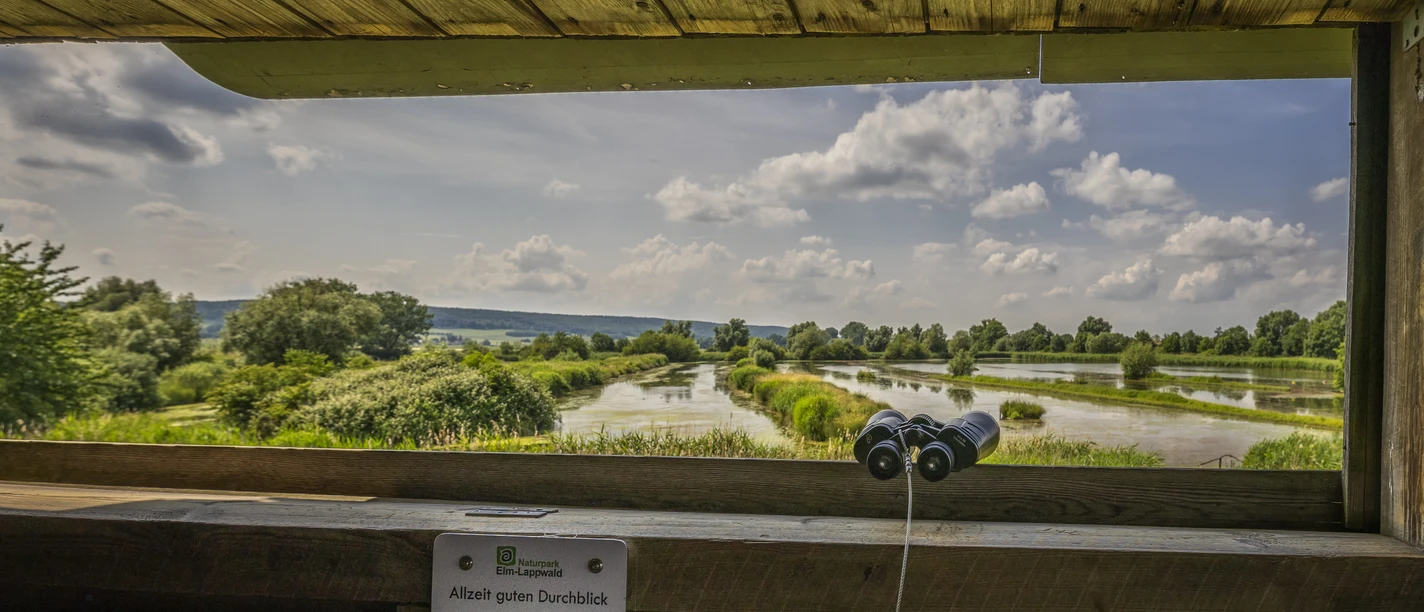 Schöppenstedter Teiche