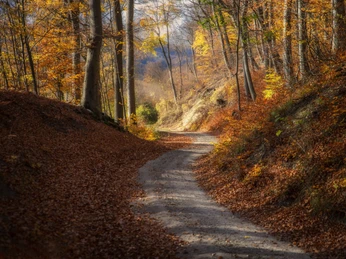 Reitlingstal Rundweg