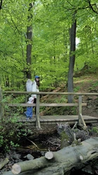 Firnsbachtal