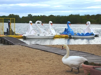 Tretboote in Schwanenform am Salzgittersee