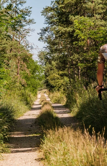 Naturnahe Wege durch die Heide