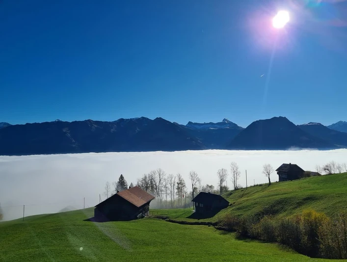 Geniesse relaxt die Sonnenseite über dem Nebelmeer - Einfach GRANDIOS!!!