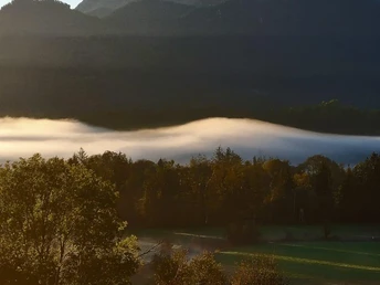Ausblick von der Ferienwohnung auf den Heimgarten
