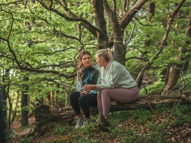 2 Frauen sitzen auf einer Baumwurzel im Buchenwald 2 Frauen sitzen auf einer Baumwurzel im Buchenwald