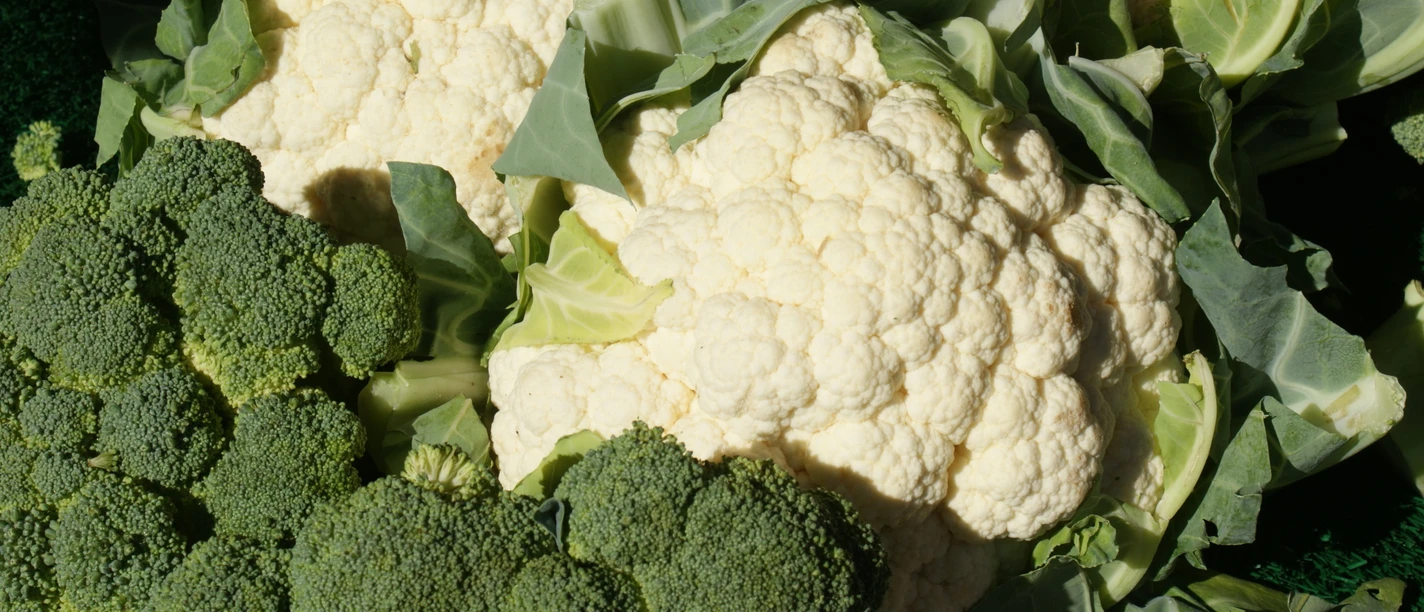 Gemüse, Wochenmarkt, 02065_gk.JPG