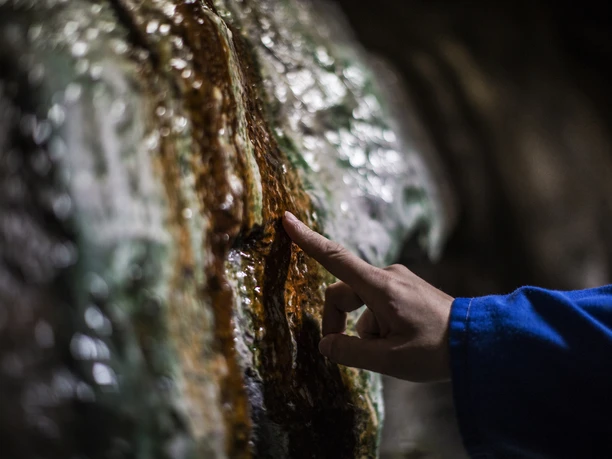 Sauerländer Besucherbergwerk Workshop Fossilien Sauerländer Besucherbergwerk Workshop Fossilien