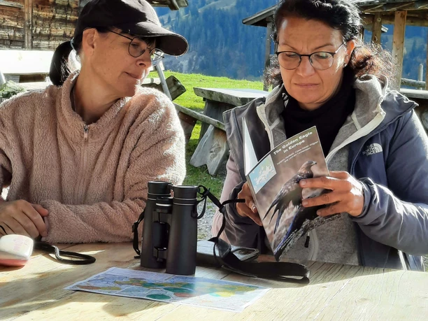 Unterwegs auf der Steinadler-Exkursion Zwischenrast auf der Steinadler-Exkursion, eine Teilnehmerin blättert durch eine Broschüre