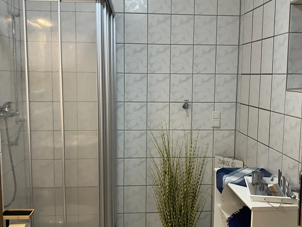 IMG_0848.JPG Kleines, gefliestes Badezimmer mit Dusche, Waschbecken, Regal und dekorativer Pflanze auf Boden.