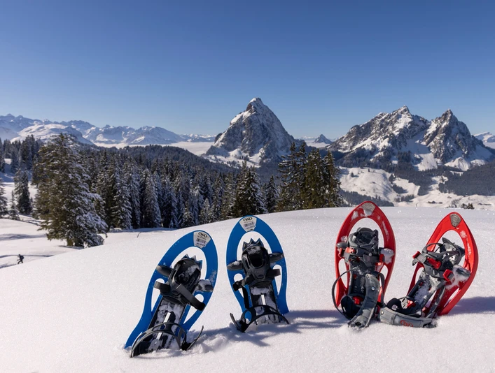 546B3D4D 9FD6 40A7 995F A8DA6CDB3D9E 1 105 c