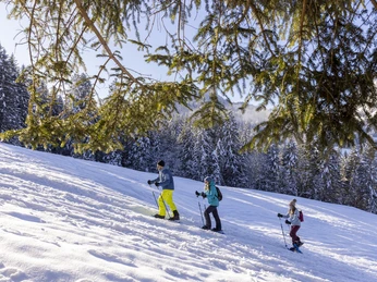 9612AAAB ABC1 42B7 B8BB A91A6BBE199D 1 105 c